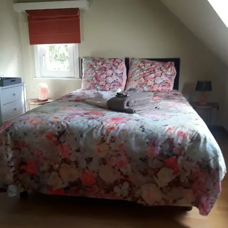Homestay Prachtig Herenhuis Uit 1925 *