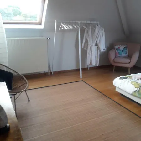 Prachtig Herenhuis Uit 1925 Homestay Nijlen